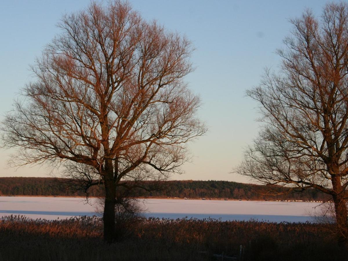 Ilonas Seeblick Apartment Plau am See Bagian luar foto